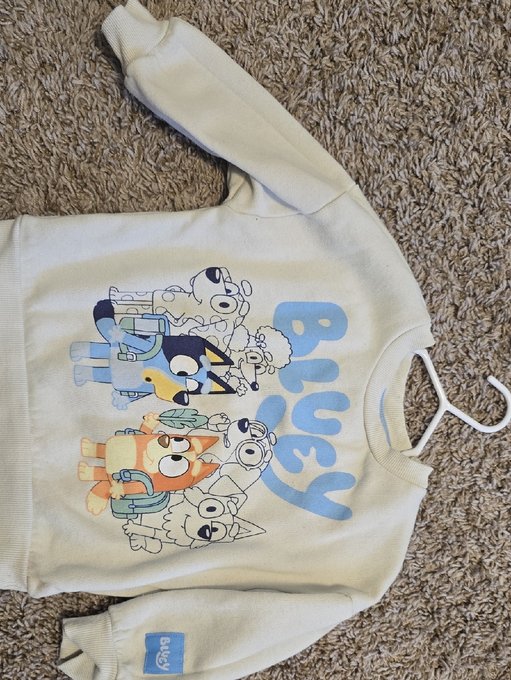 Cream Bluey Graphic Kids Sweatshirt